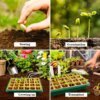 Adjustable Humidity Seed Starter Trays