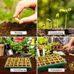 lt text: Close-up of a hand sowing a seed into rich potting soil, showing the first step of seed starting for indoor and outdoor gardening