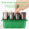 Alt text: See-through seed starter tray with clear cell inserts, enabling continuous observation of seed germination and root development, perfect for monitoring plant growth from the very first roots to healthy seedlings