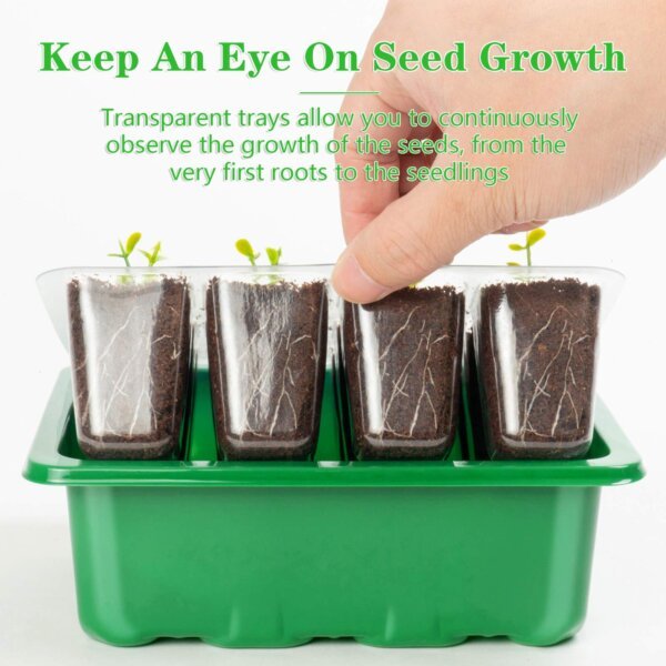Alt text: See-through seed starter tray with clear cell inserts, enabling continuous observation of seed germination and root development, perfect for monitoring plant growth from the very first roots to healthy seedlings