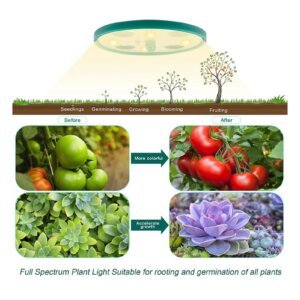 Alt text: Round full-spectrum plant grow light diagram illustrating all plant growth stages from seedling to fruiting, with before-and-after tomato and succulent examples, perfect for indoor gardening and seed starting