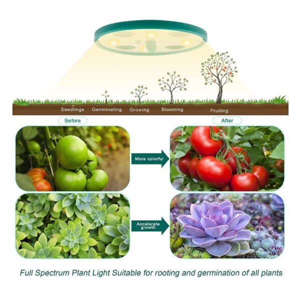 Alt text: Round full-spectrum plant grow light diagram illustrating all plant growth stages from seedling to fruiting, with before-and-after tomato and succulent examples, perfect for indoor gardening and seed starting