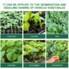 Alt text: Versatile seed germination kit suitable for all types of vegetable, herb and fruit seeds, demonstrating use with tomatoes, peppers, mint, radishes, cucumbers and strawberries, ideal for indoor and outdoor seed starting