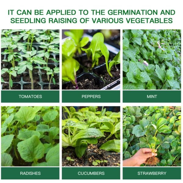 Alt text: Versatile seed germination kit suitable for all types of vegetable, herb and fruit seeds, demonstrating use with tomatoes, peppers, mint, radishes, cucumbers and strawberries, ideal for indoor and outdoor seed starting