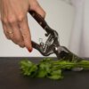 11cda568ca41263914c5d1a9427f6fe0 Hand-Forged Multipurpose Garden & Kitchen Shears