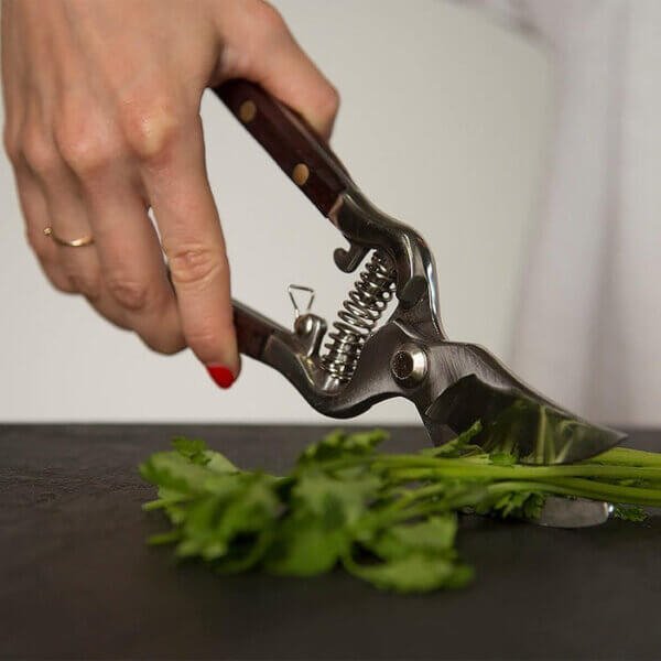 11cda568ca41263914c5d1a9427f6fe0 Hand-Forged Multipurpose Garden & Kitchen Shears
