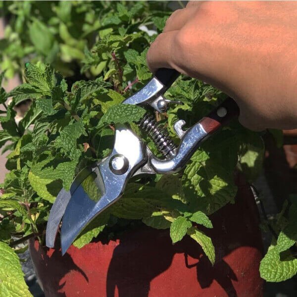 29e36756ede9fbc9622564fbb0b1e880 Hand-Forged Multipurpose Garden & Kitchen Shears