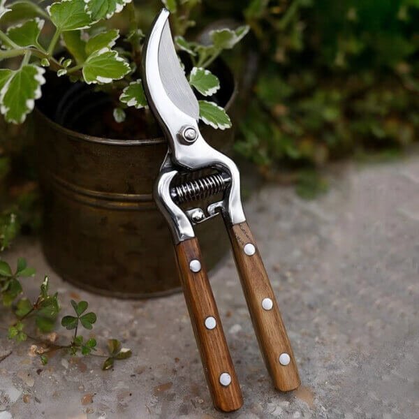 2bc99e8a68ae91574babcfd14c89a975 Hand-Forged Multipurpose Garden & Kitchen Shears