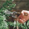 6ff80929bc88be23a1cb6acd21acb09c Hand-Forged Multipurpose Garden & Kitchen Shears