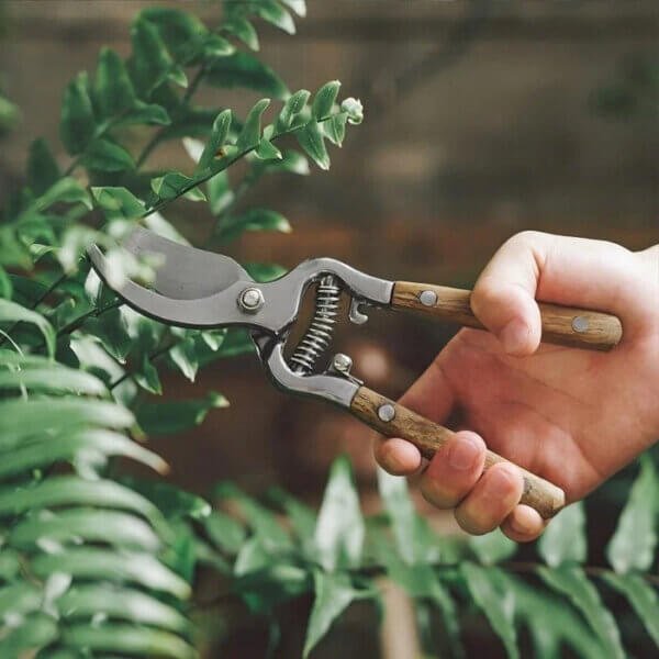 6ff80929bc88be23a1cb6acd21acb09c Hand-Forged Multipurpose Garden & Kitchen Shears