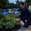 Solar Fibre Optic Firework Stake Lights Main Product Shot Solar Fibre Optic Firework Stake Lights | 7 Colour