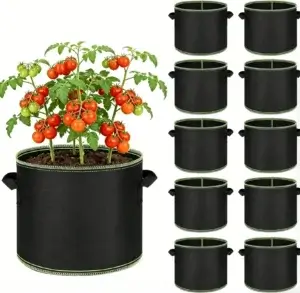 Fabric plant grow bags for vegetables outdoor garden tomato pepper planting scene