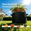 Fabric plant grow bags for vegetables, black non woven breathable planter pot with handles, suitable for tomato, pepper, eggplant, citrus tree, flowers and fruits outdoor home garden