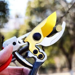 Heavy Duty Bypass Pruning Shears Outdoor Pruning Use Heavy Duty Bypass Pruning Shears in actual branch pruning operation
